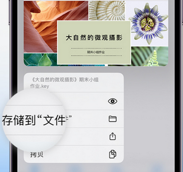 香河apple维修中心分享iPhone文件应用中存储和找到下载文件