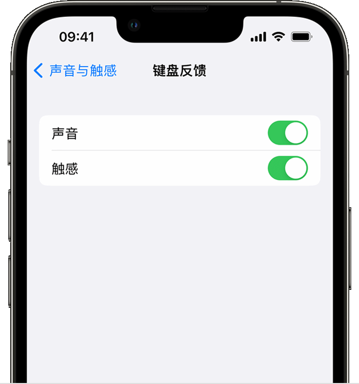 香河苹果14维修店分享如何在 iPhone 14 机型中使用触感键盘 