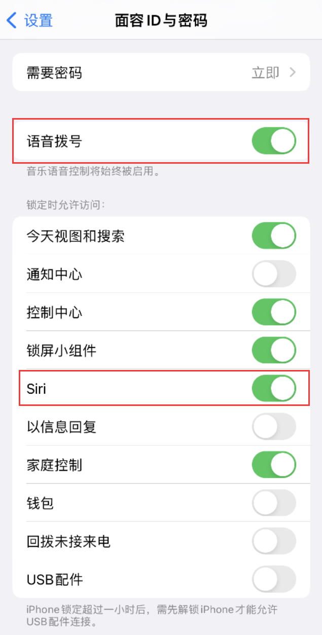 香河苹果维修网点分享不解锁 iPhone 的情况下通过 Siri 拨打电话的方法 