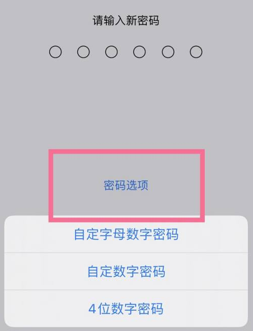 香河苹果14维修分享iPhone 14plus设置密码的方法 