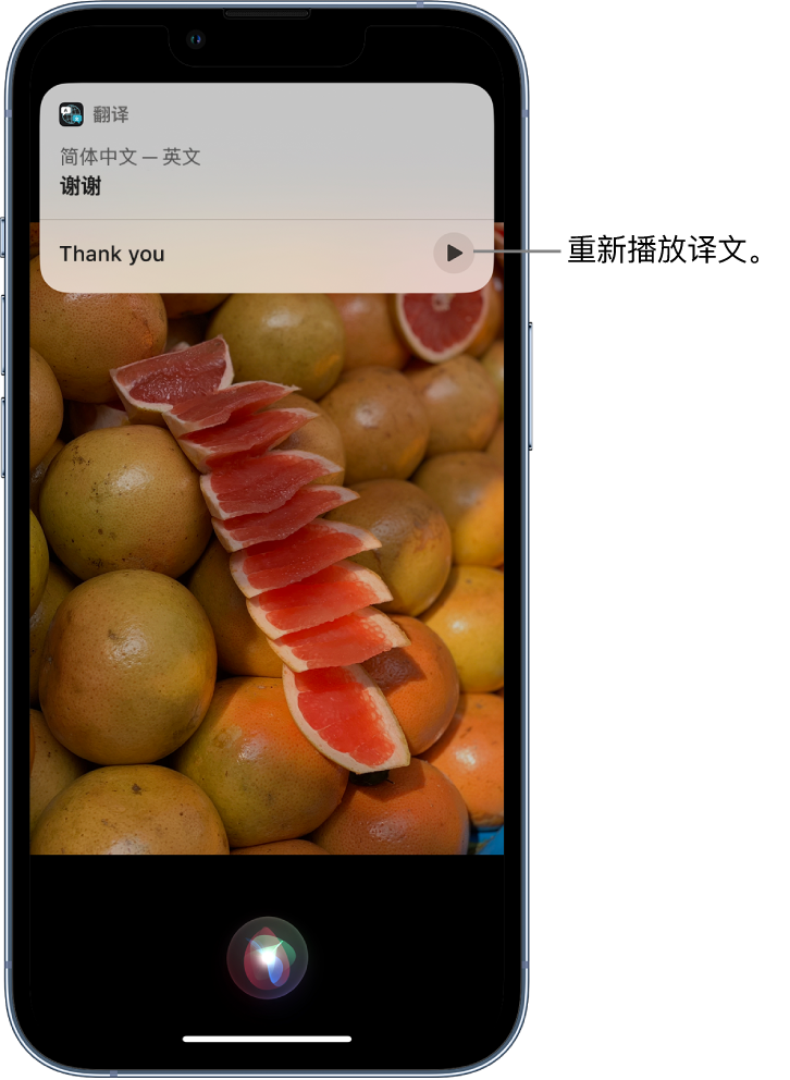 香河苹果14维修分享 iPhone 14 机型中使用 Siri：了解 Siri 能帮你做什么 