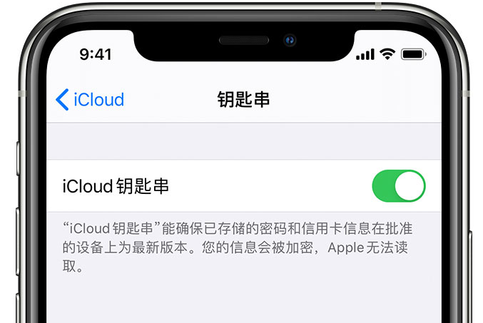 香河苹果手机维修分享在 iPhone 上开启 iCloud 钥匙串之后会储存哪些信息 