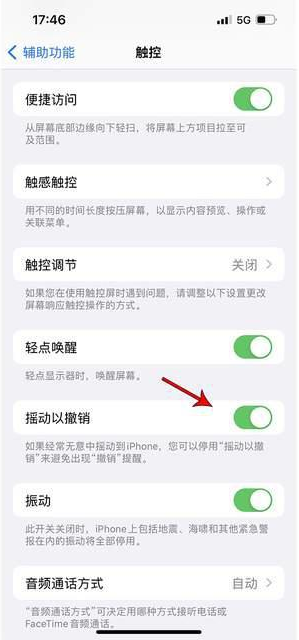 香河苹果手机维修分享iPhone手机如何设置摇一摇删除文字 